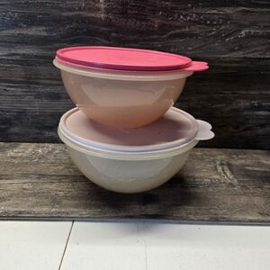 Tupperware Vintage Mixing Storage Wonderlier Bowl 2519 2520 C Butterfly Pink Lot